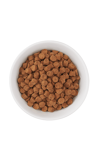 Tiki Cat® Born Carnivore™ Optimal Weight Turkey Recipe Dry Food
