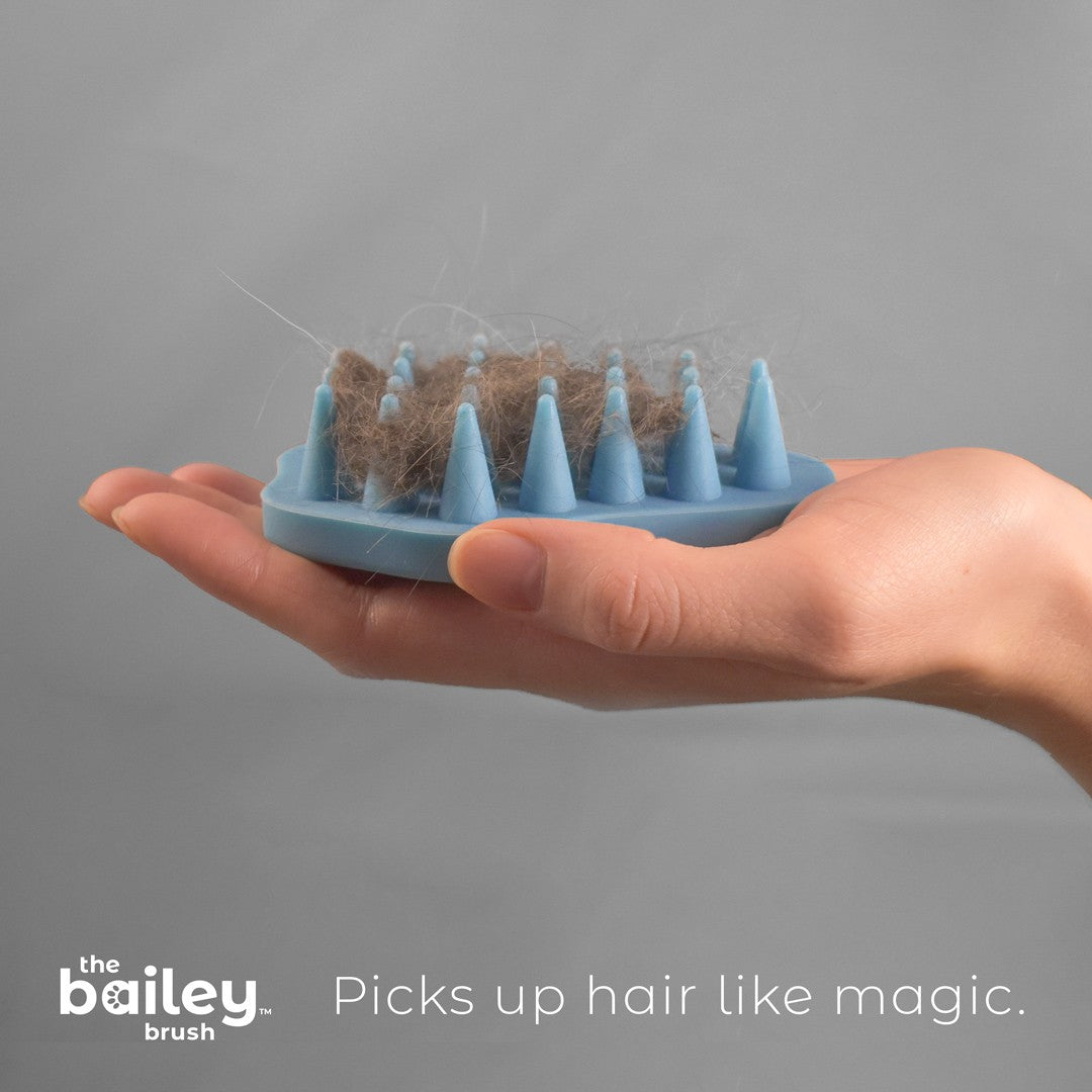 The Bailey Brush