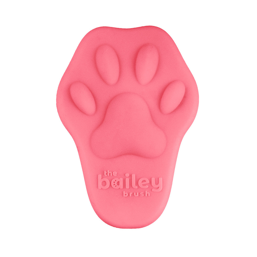 The Bailey Brush