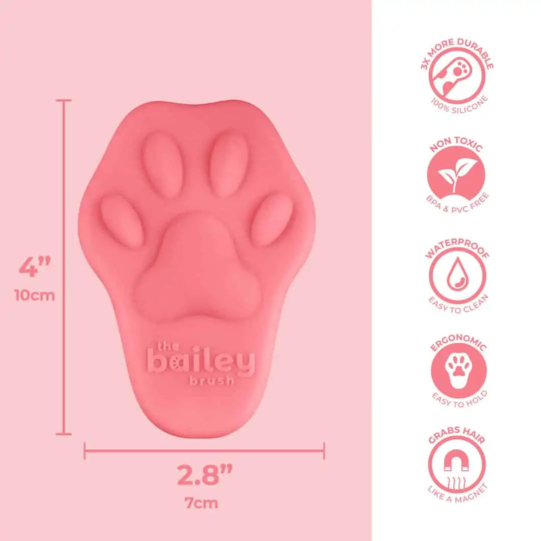 The Bailey Brush