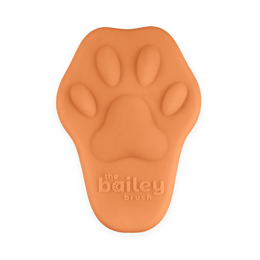 The Bailey Brush
