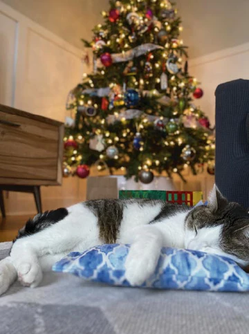 Refillable Snuggle Sticks