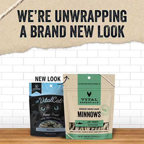 VITAL ESSENTIALS® Freeze Dried Minnows Treats