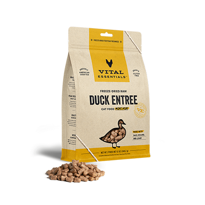 Duck Freeze Dried Raw Mini Nibs