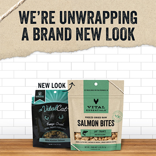 VITAL ESSENTIALS® Freeze Dried Salmon Bites Treats