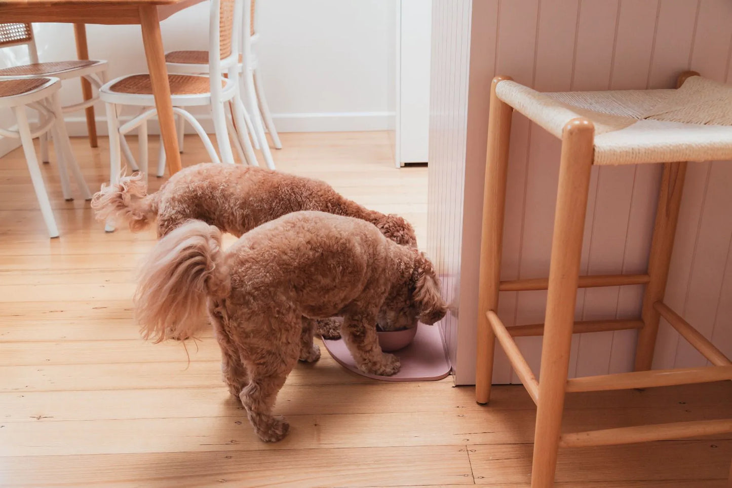 FuzzYard Life - Silicone Feeding Mat - Soft Blush