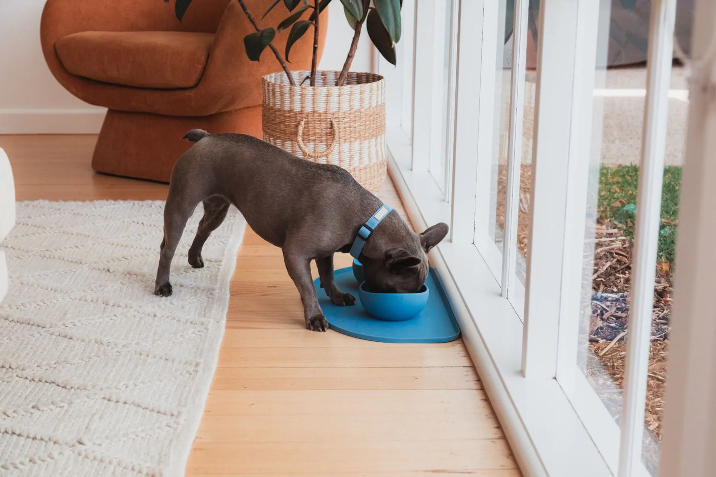 FuzzYard Life - Silicone Feeding Mat - French Blue