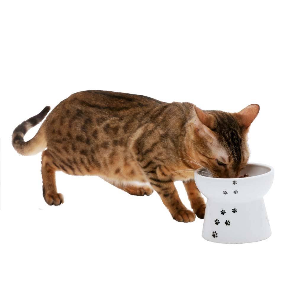 Raised Cat Food Bowl Large (Cat)