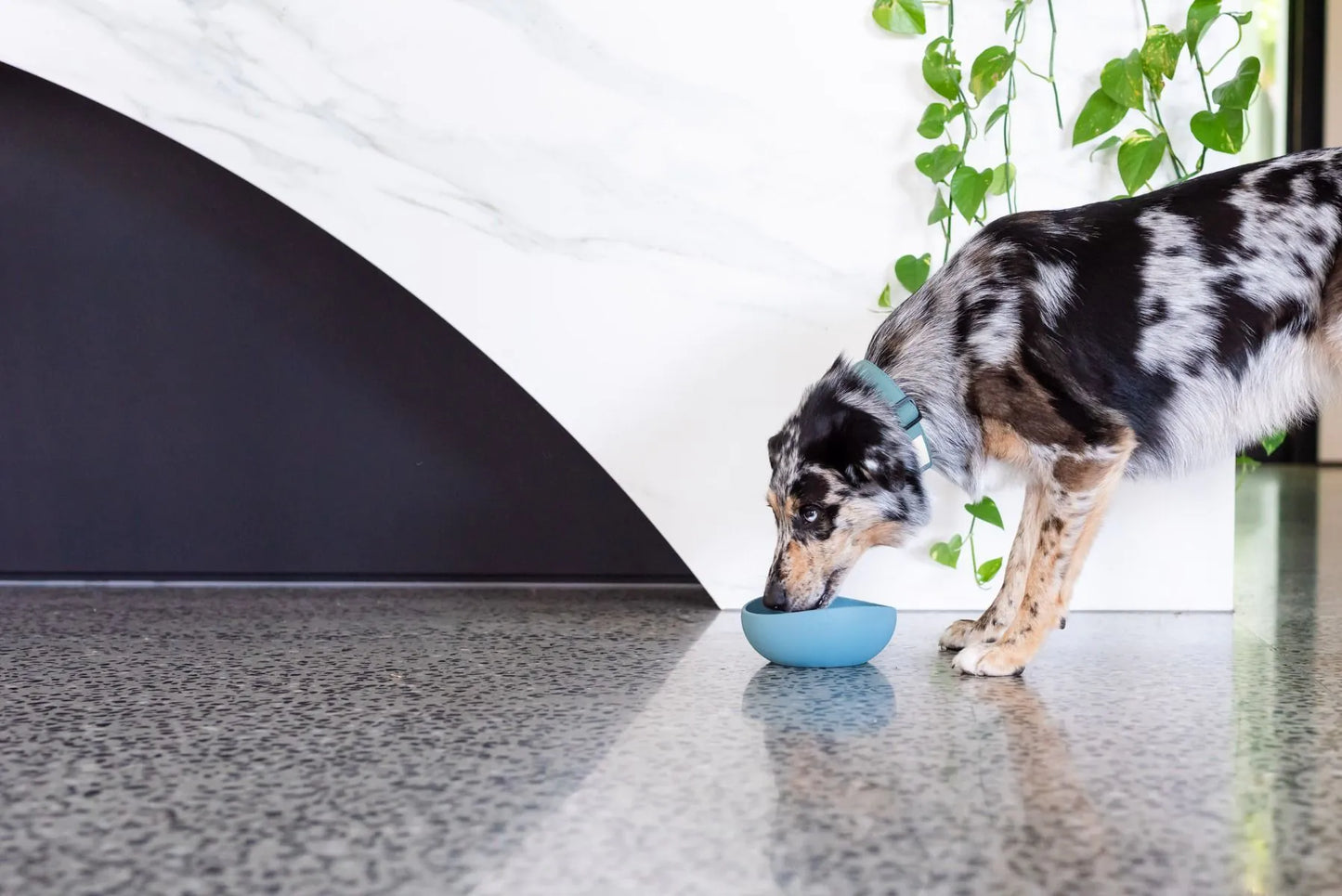FuzzYard Life Silicone Bowl - French Blue S