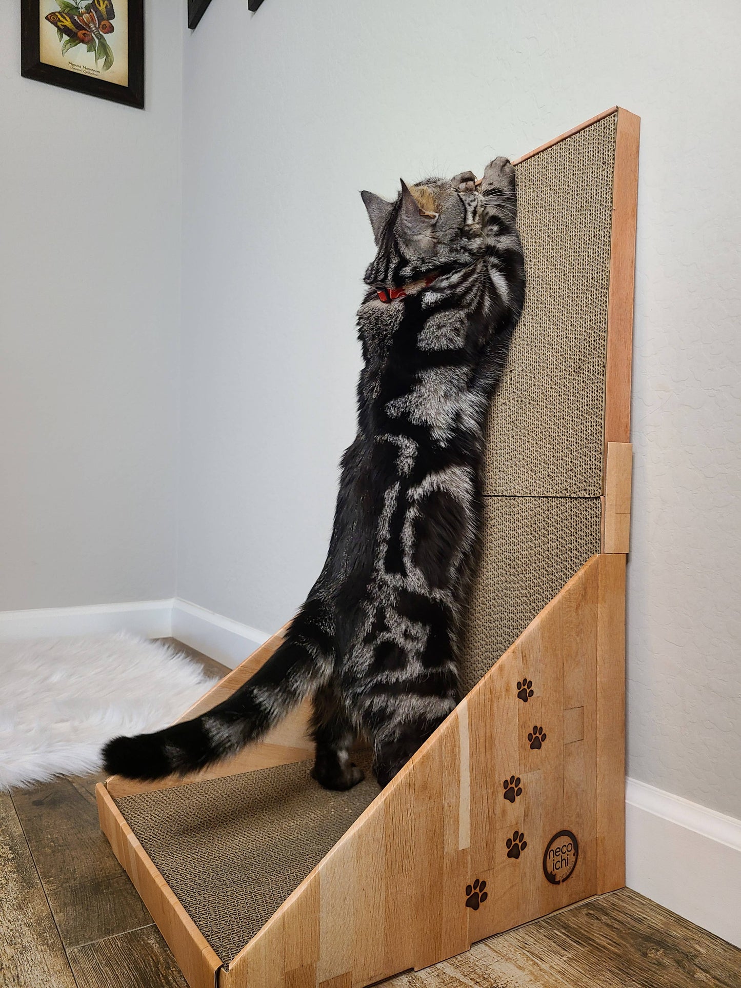 Stretch & Scratch Wall Cat Scratcher