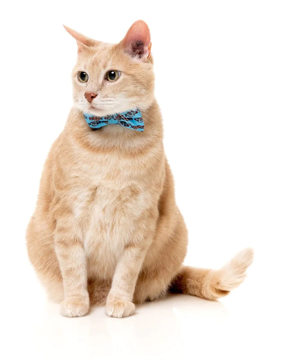 Soy Sauce Fish - Cat Fashion Pack