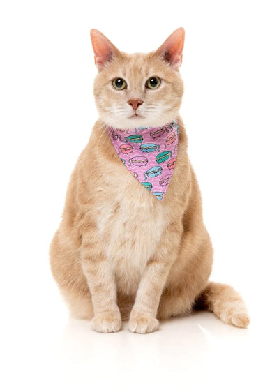 Meowcarons - Cat Fashion Pack