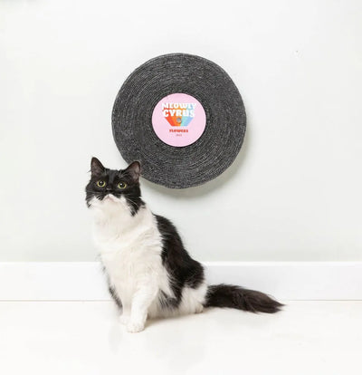 Meowly Cyrus - Record Cat Scratcher