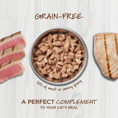 Healthy Cravings Real Tuna Recipe in savory gravy