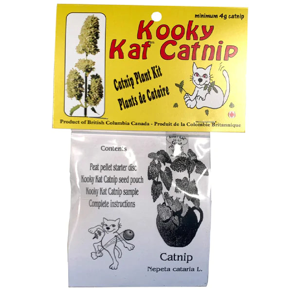 KOOKY KAT Grow Yer Own - Catnip Plant Kit