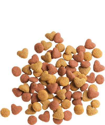 Lara Junior Chicken Dry Food