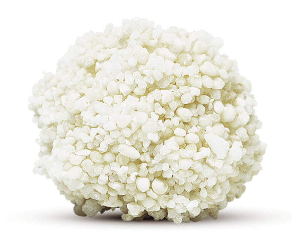 Sustainably Yours - Multi-Cat Large Grains Clumping Litter