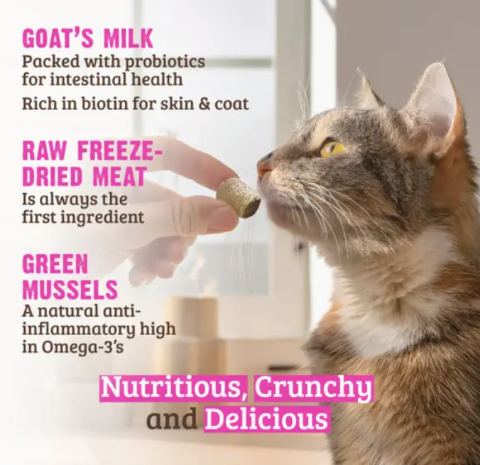 Raw Freeze Dried Wild Caught Salmon, Goat's Milk & Green Mussels Crunchy Treats