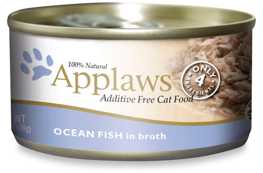 Ocean Fish in Broth