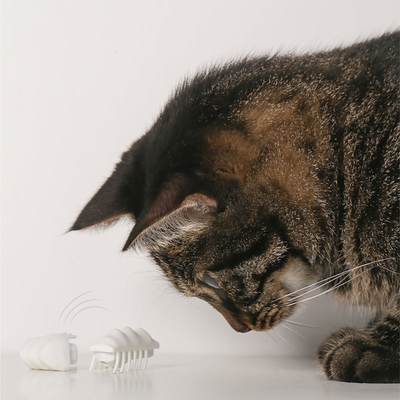 "Little Snow Monster" Electronic Cat Teasing Toy