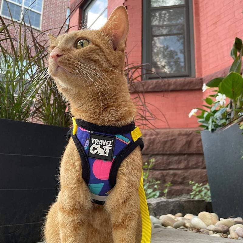 The 90s Cat Limited Edition Harness Leash Set