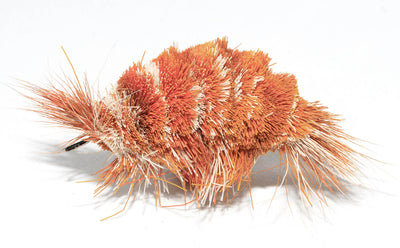Da Shrimp - Orange