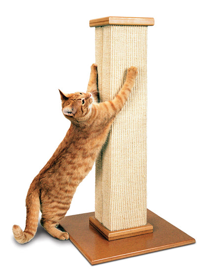 The Ultimate Scratching Post