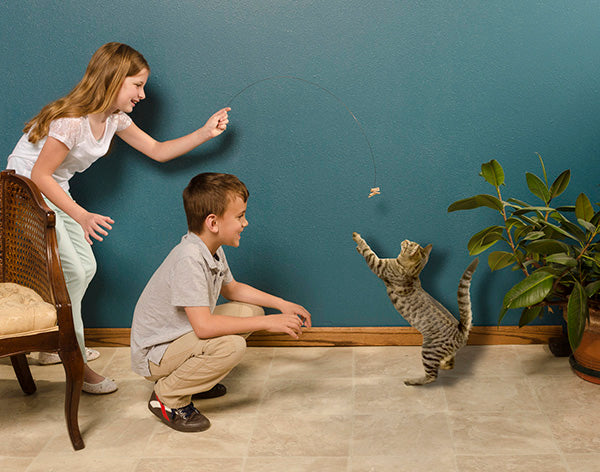 Cat Dancer