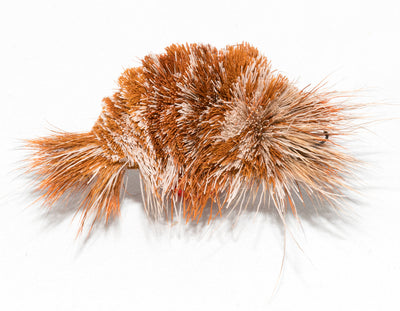 Da Shrimp - Orange