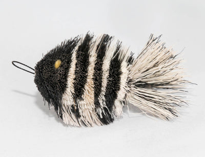 Da Zebra Fish (assorted colours)