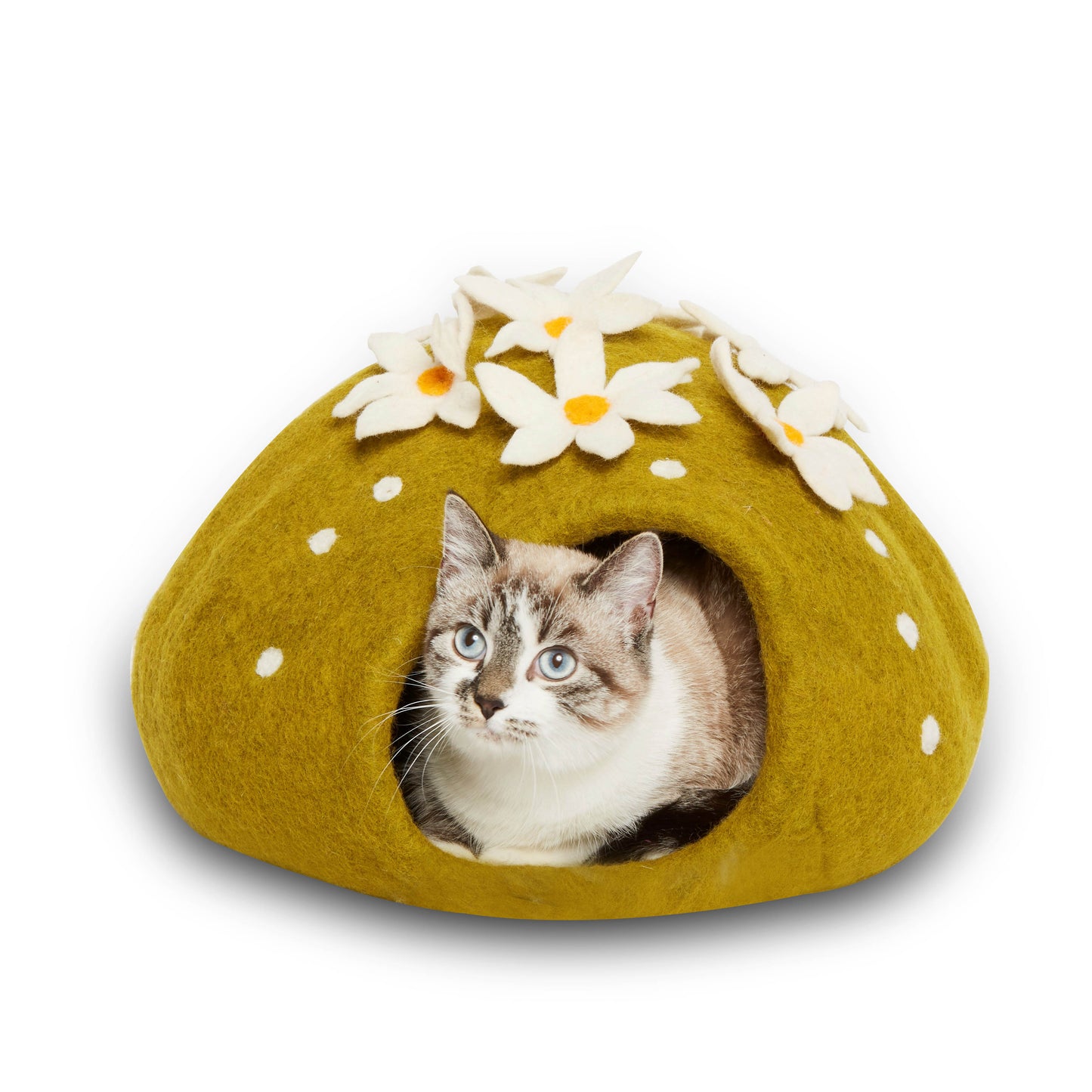 Wool Felt Cactus Cave Bed