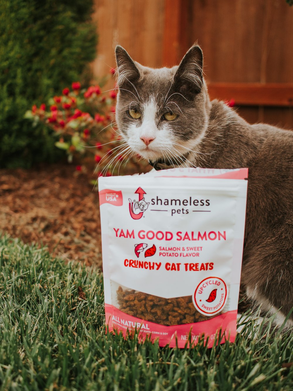 Yam Good Salmon