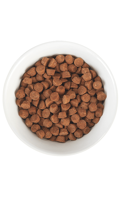 Tiki Cat® Born Carnivore® Baby Kitten Health: Deboned Chicken & Egg Dry Food