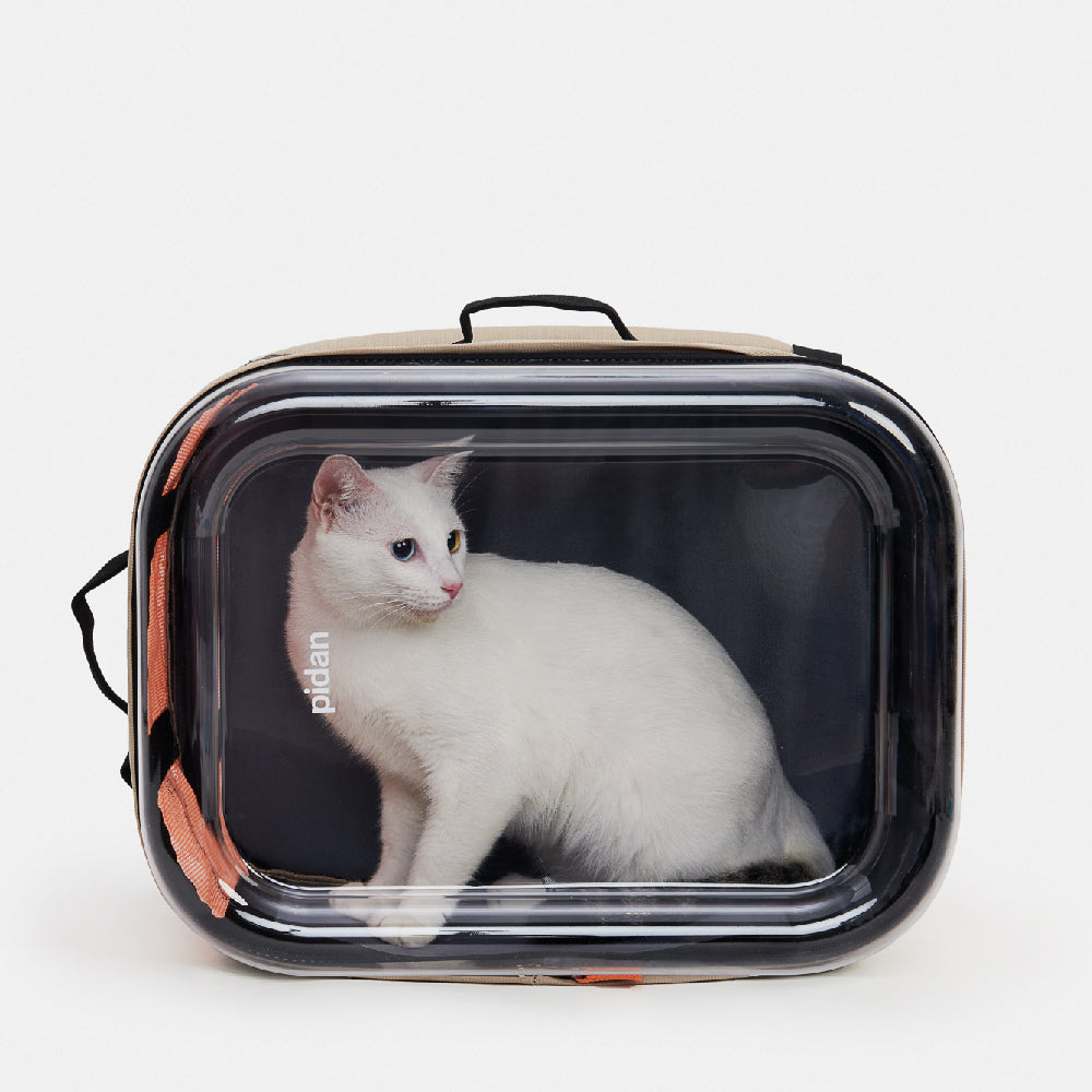 Backpack Carrier