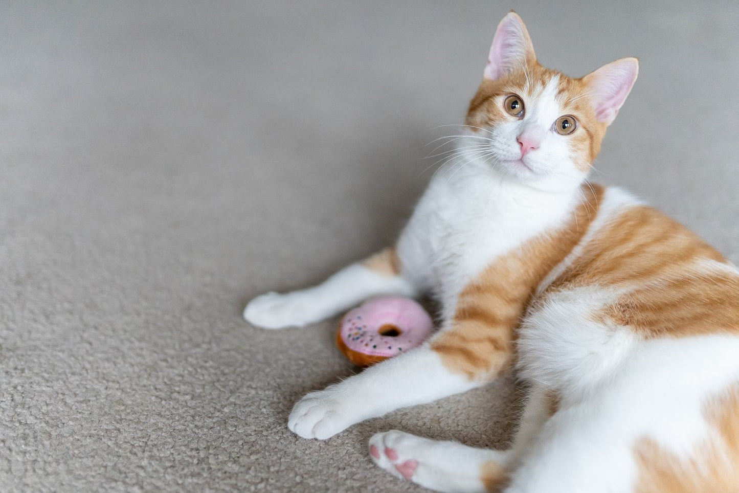 Feline Frenzy Plush - Kitty Kreme Donuts