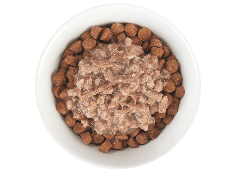 Tiki Cat® Broths with Beef, 1.3oz