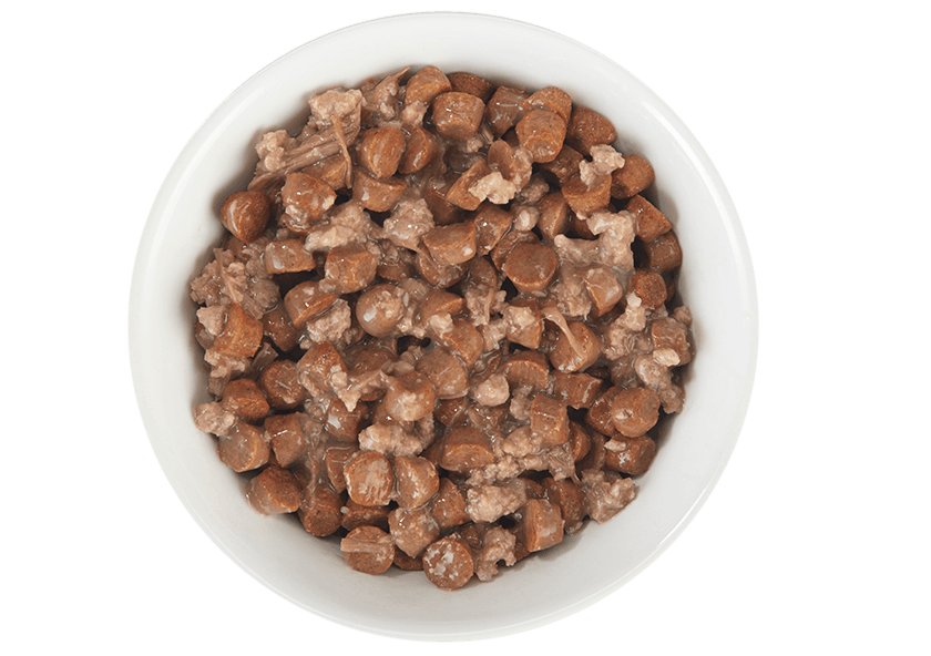 Tiki Cat® Broths with Beef, 1.3oz