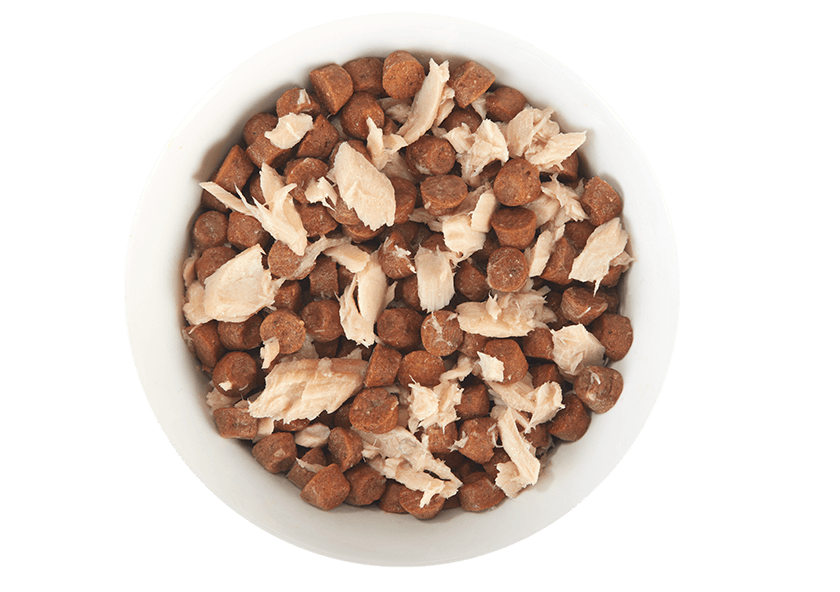 Tiki Cat® Broths with Salmon, 1.3oz