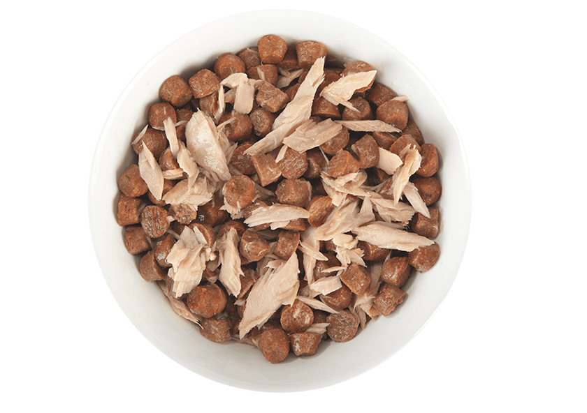 Tiki Cat® Broths with Tuna, 1.3oz