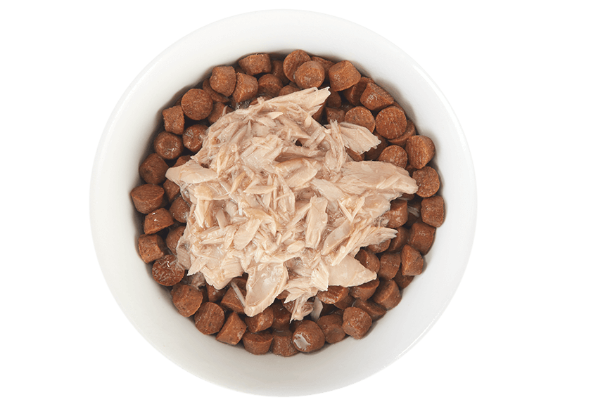 Tiki Cat® Broths with Tuna, 1.3oz