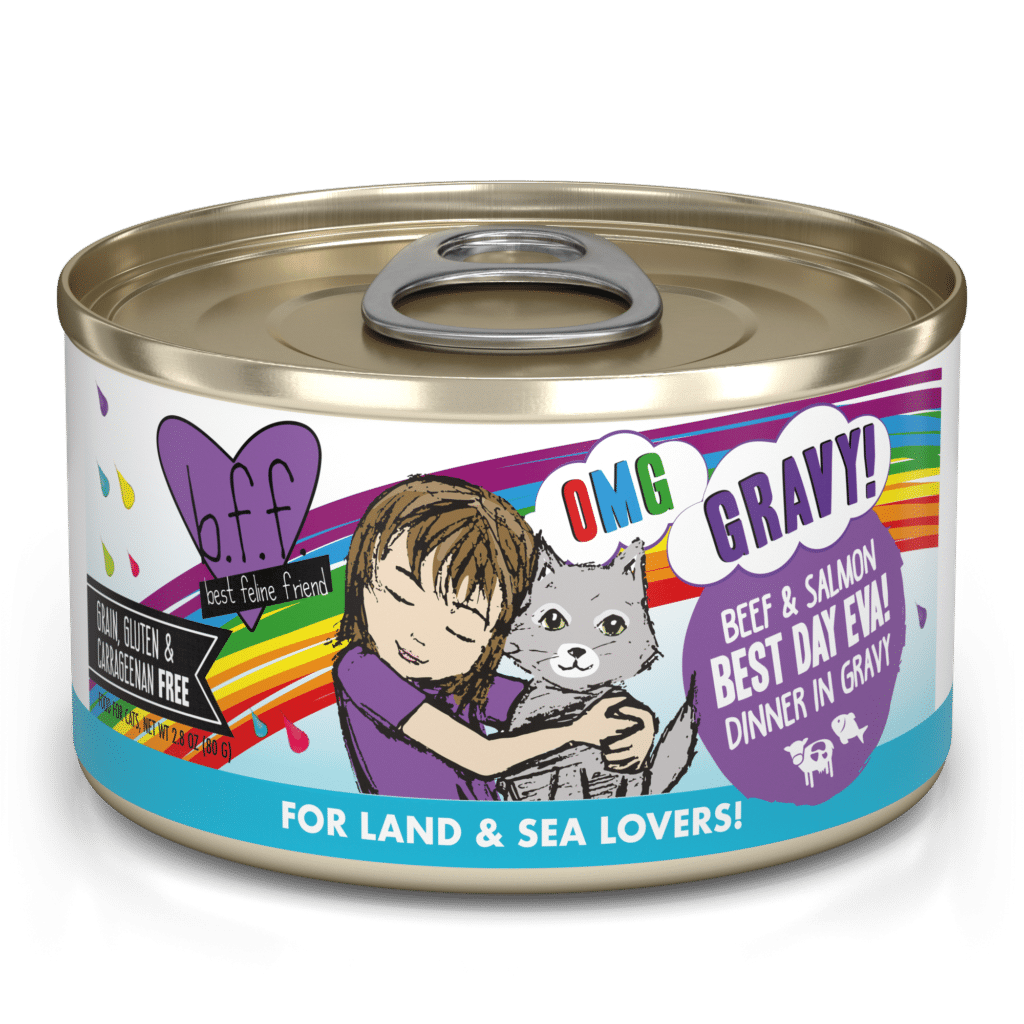 Weruva BFF Beef & Salmon Best Day Eva! Dinner in Gravy (2 sizes)