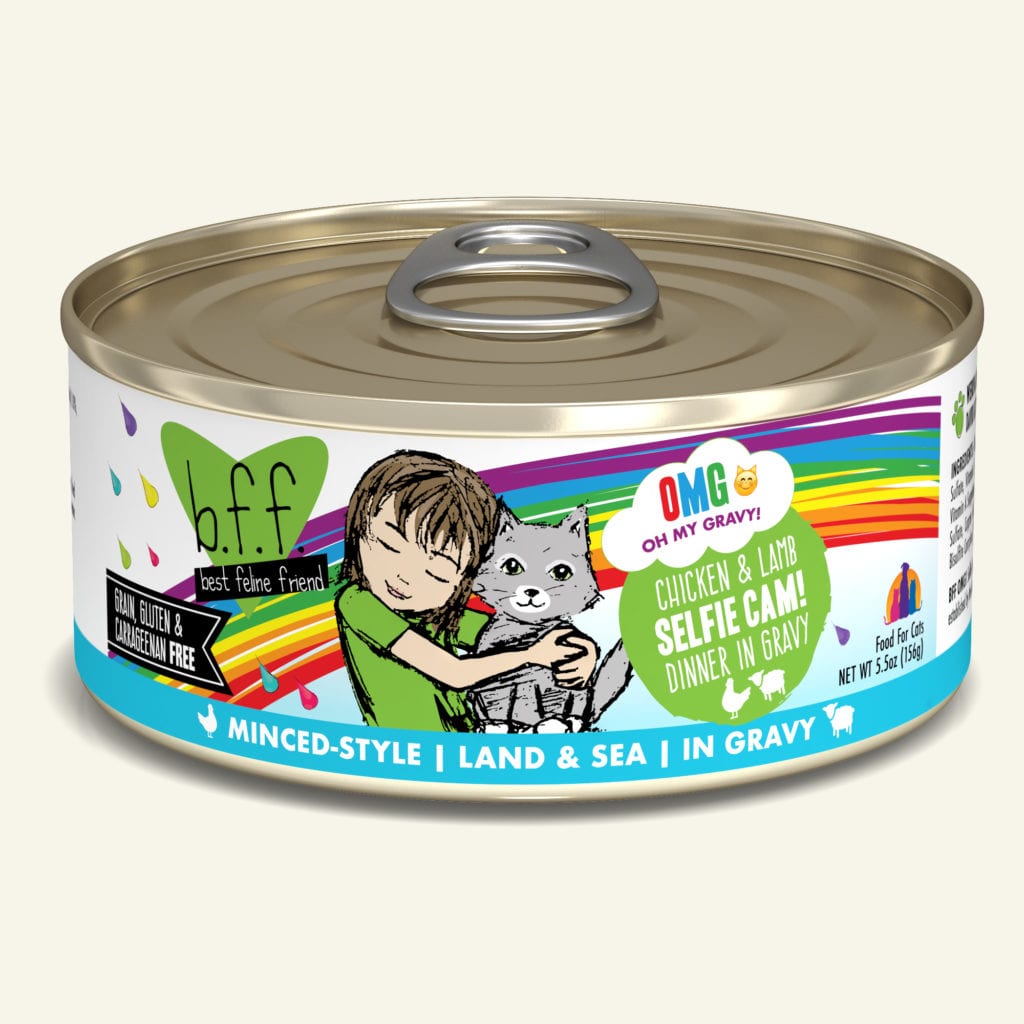 Weruva BFF Chicken & Lamb Selfie Cam! Dinner in Gravy (2 sizes)