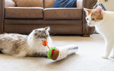 Feline Frenzy - Shrimp Purrito Catnip Kicker