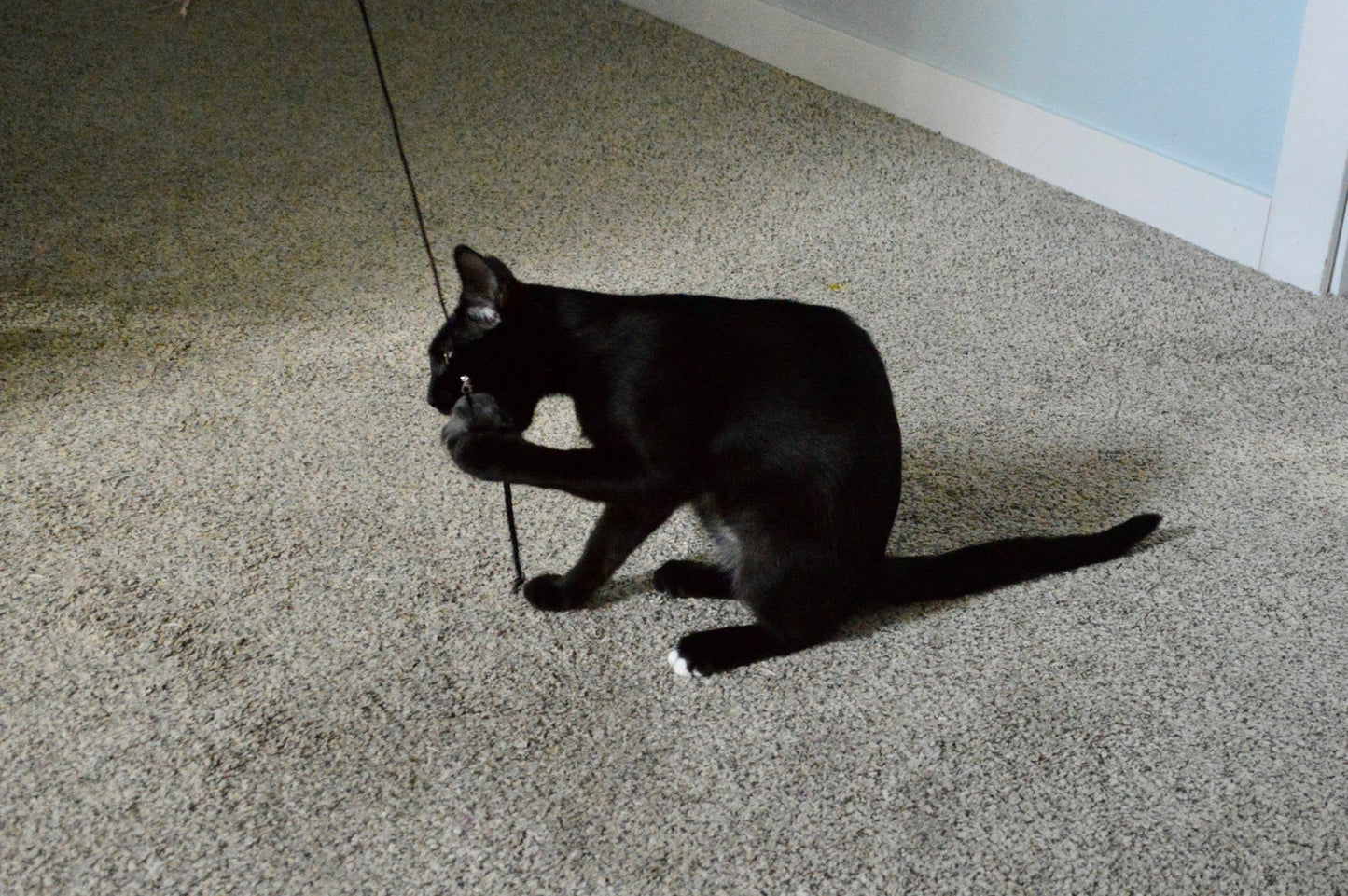 Rabbit Fur Rattle Mouse Rod Attachment