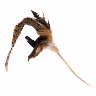 Silver Vine Pheasant Feathers Teaser Toy (40cm stick)