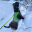 Kitty Holster Harness - Loud Lime (Reflective)