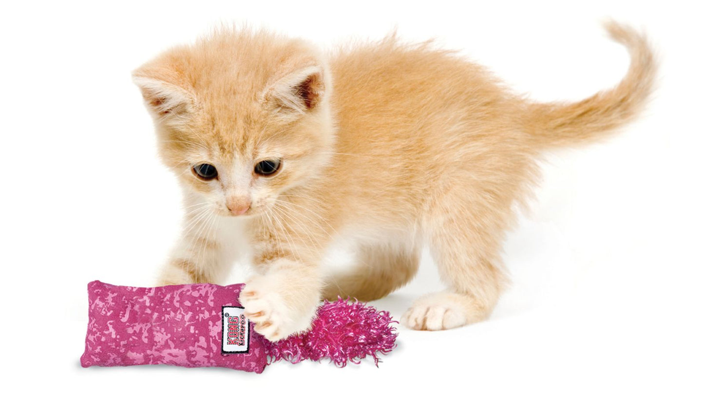 Kickeroo™ Kitten