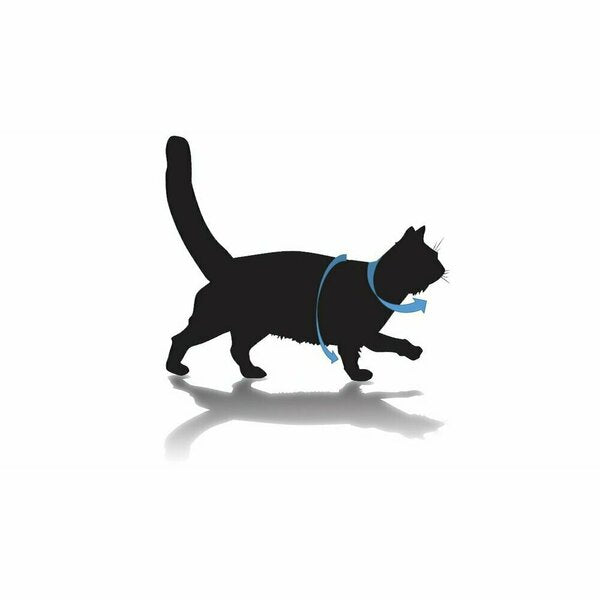 Kitty Holster Harness - Purple