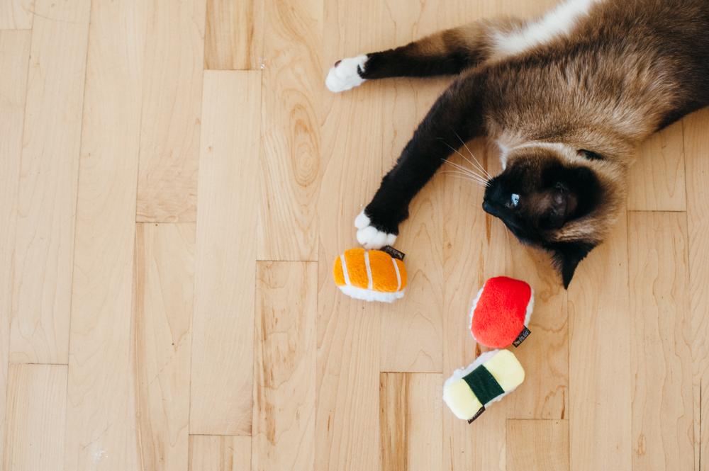 Feline Frenzy Plush - Sassy Sushi (3 pack)