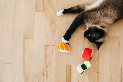 Feline Frenzy Plush - Sassy Sushi (3 pack)